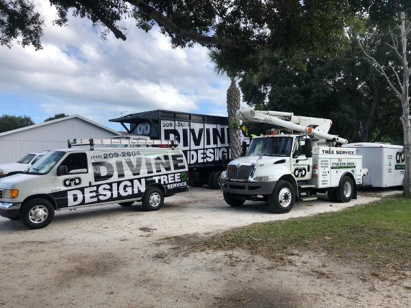 Divine Design Tree Management