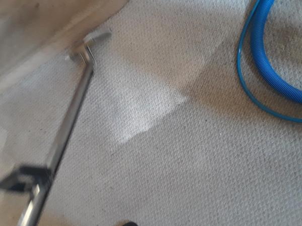 Upright Carpet Cleaning & Commercial Service Enterprise