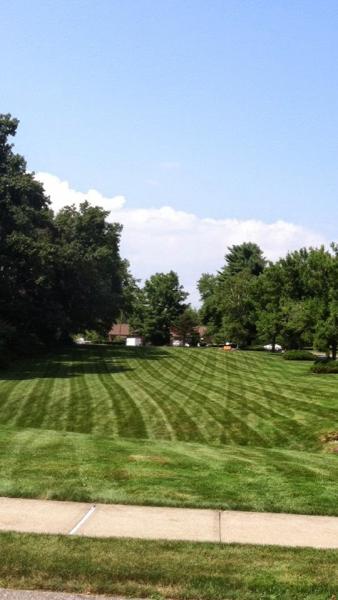 Turfpro Lawn & Snow