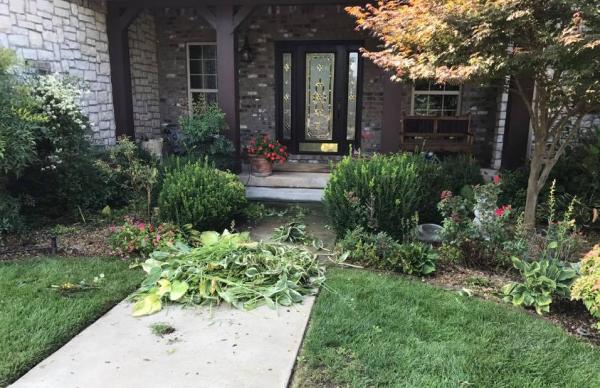 Timber Ridge Lawn Care & Landscaping Services