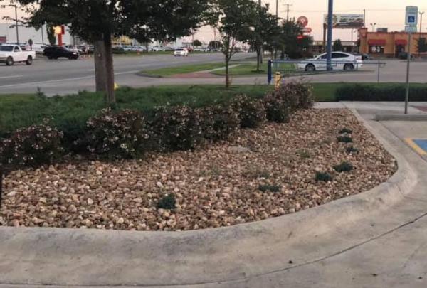 Timber Ridge Lawn Care & Landscaping Services