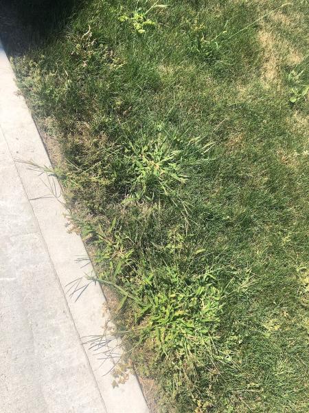 Vehorn Lawn Care Services