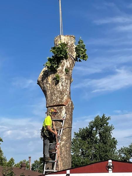 R&B Turf & Tree Inc