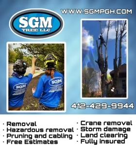 SGM Tree