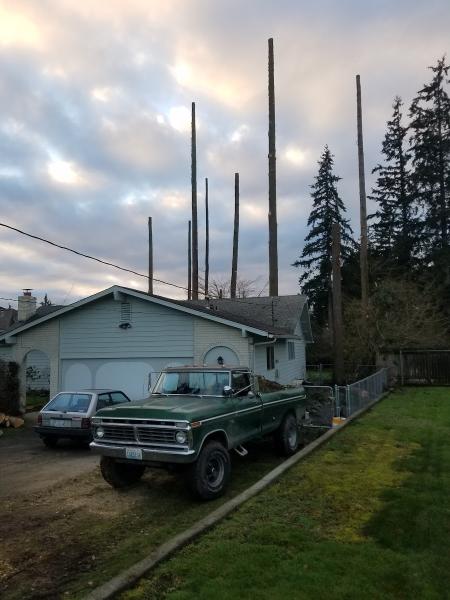 Lineage Tree Care LLC
