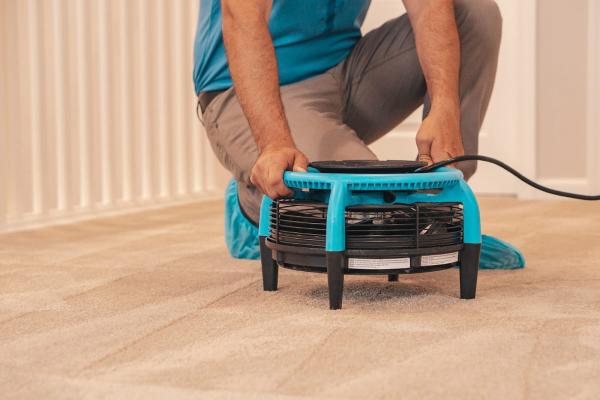 Blue Cap Carpet Cleaning