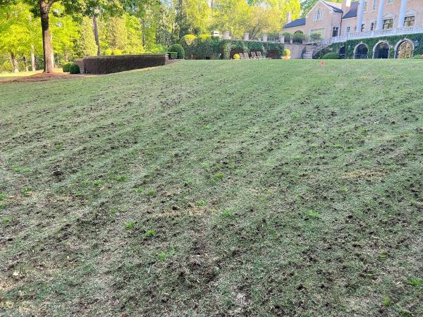 Atlanta Area Aeration