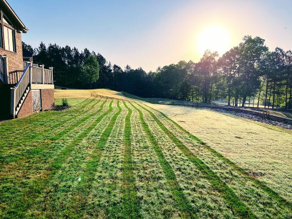 Atlanta Area Aeration