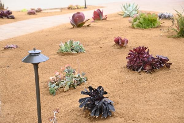 SD Native Landscapes Inc.