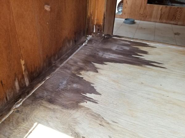 Puroclean Emergency Restoration Specialists