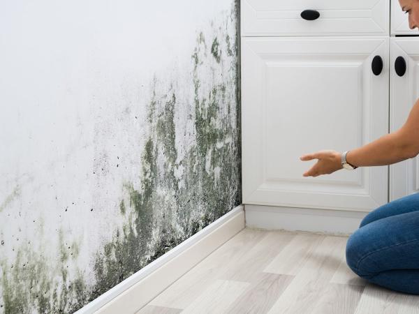 Puroclean Emergency Restoration Specialists