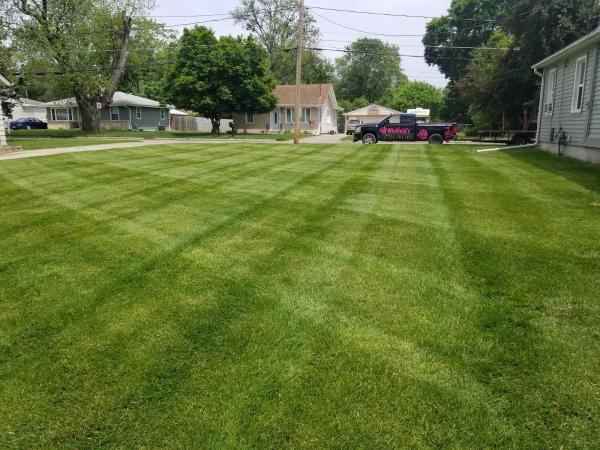 Whitfield's Lawn & Garden Specialist