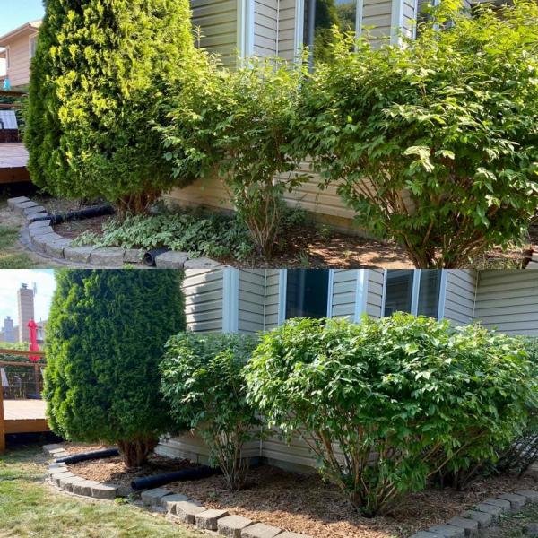 Whitfield's Lawn & Garden Specialist