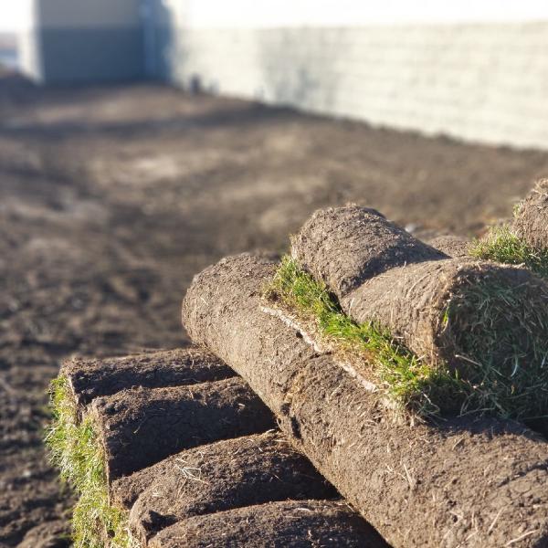Whitfield's Lawn & Garden Specialist