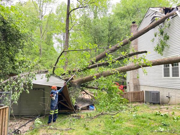 SL Tree & Outdoor Services