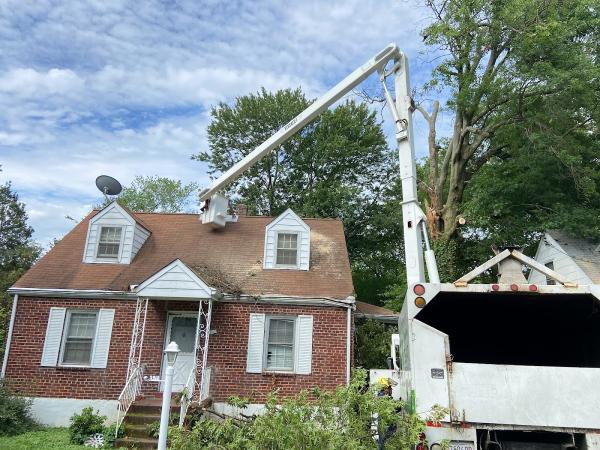 SL Tree & Outdoor Services