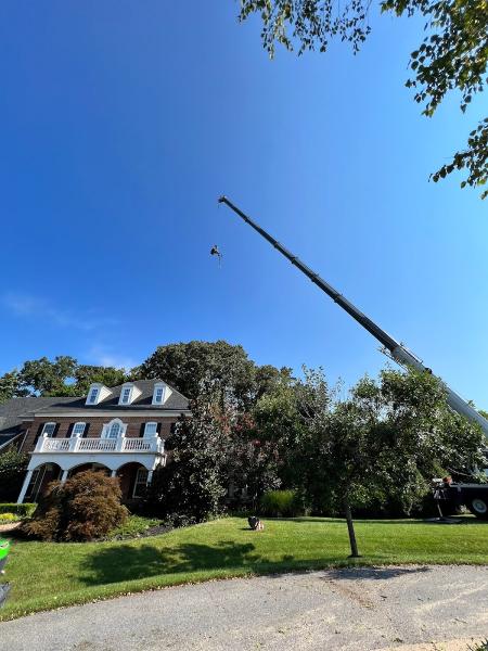 SL Tree & Outdoor Services