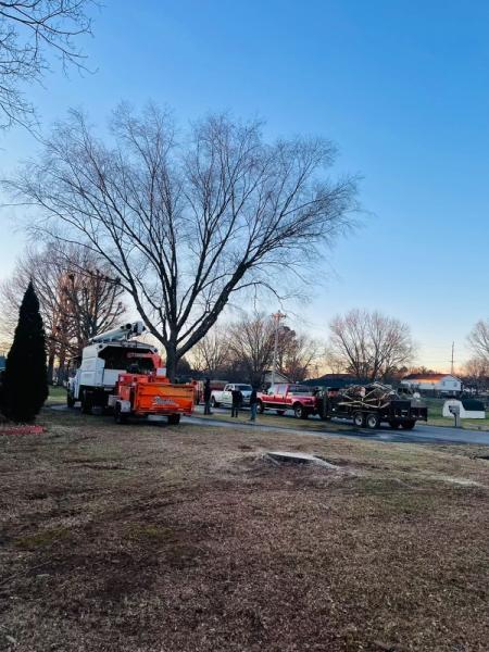 Shepherds Lawn and Tree Service LLC