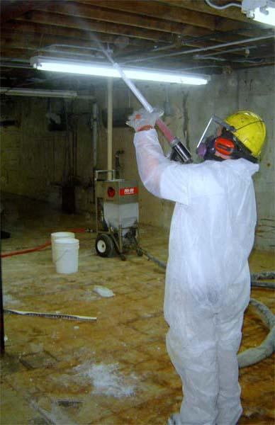 Above & Beyond Mold Inspection & Removal