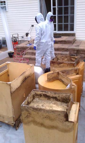 Above & Beyond Mold Inspection & Removal