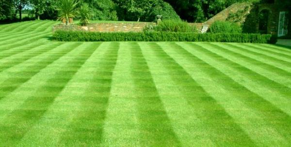 Freedom Mowers Lawn Care Service