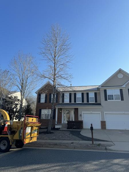 Bonilla Tree Expert Inc.