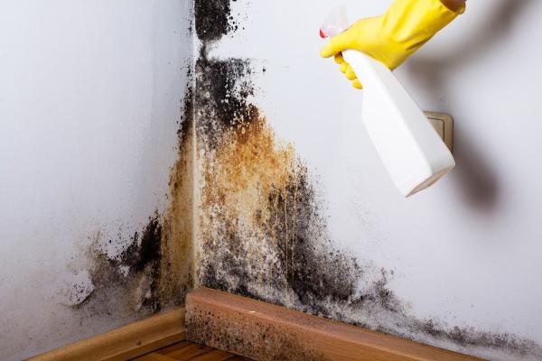Servicemaster Cleaning & Restoration