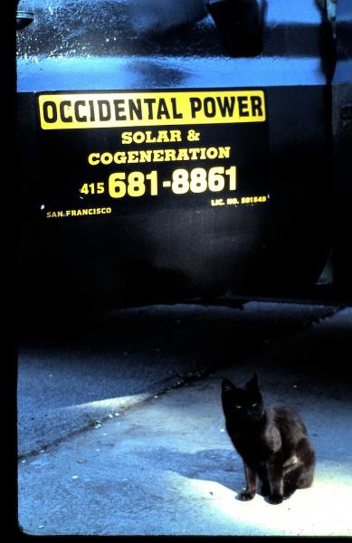 Occidental Power
