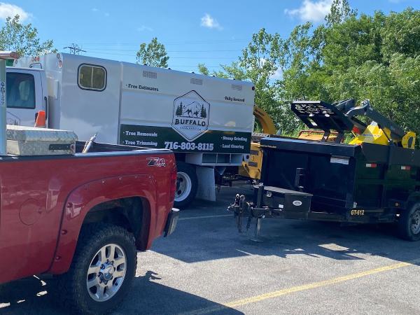 Buffalo Tree Service