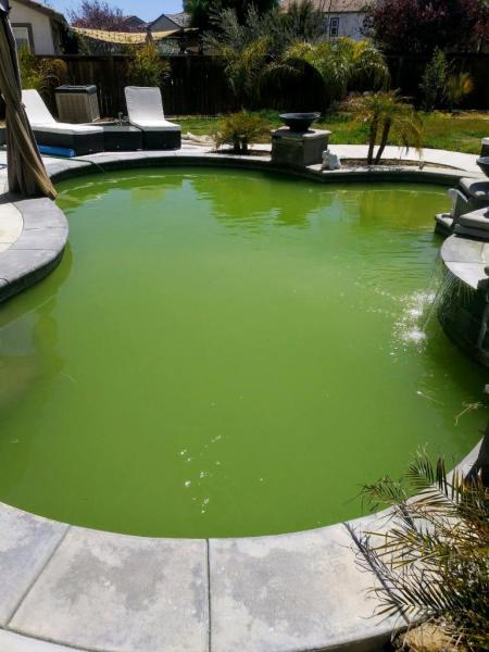 Zondo's Pool Service