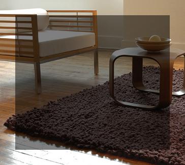 Foggy Bottom Carpet Care Services