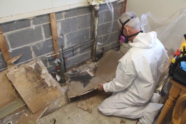INX Indoor Air Quality