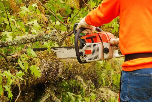 JL Tree Services