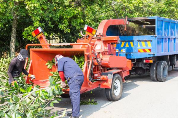 JL Tree Services