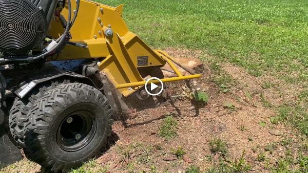 Big Boy Services Stump & Tree Removal