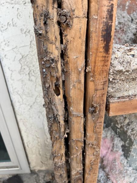 Jaeger Pest Solutions