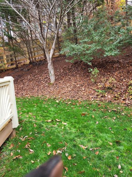 Backyard Restoration Llc