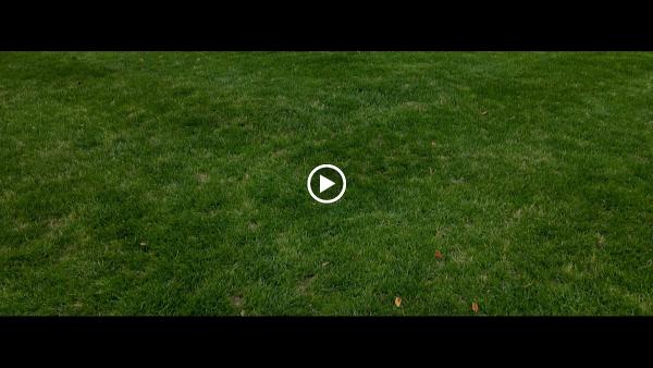 Lawrence Landscape Group