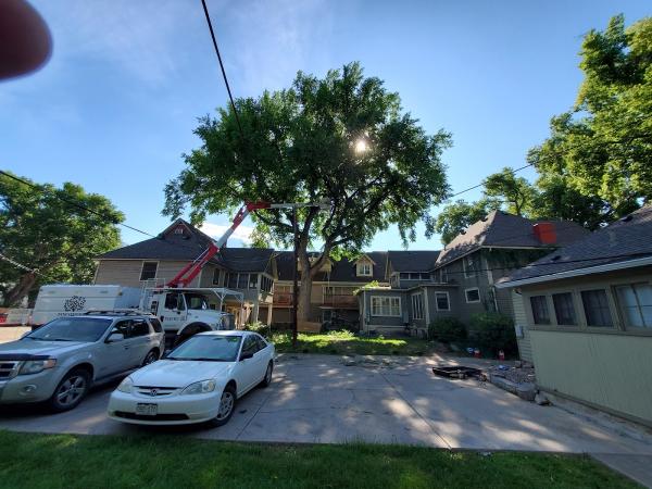 Tanglewood Tree Service