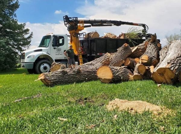 Tanglewood Tree Service