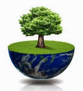 Hercules Tree Service & Landscape Construction