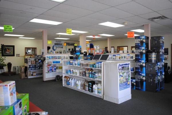 Oasis Aquatics