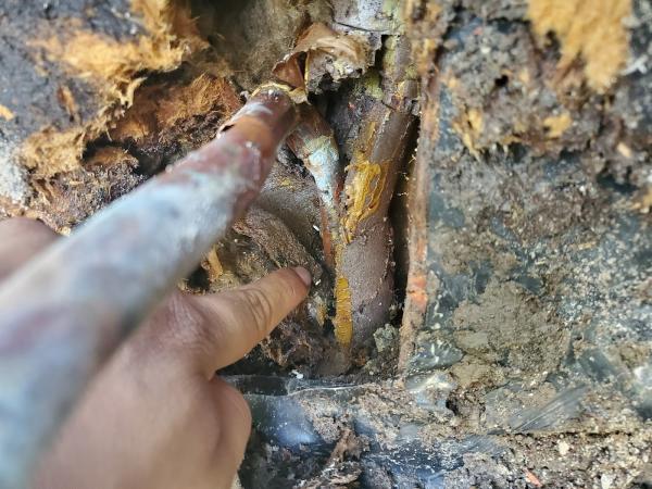 Flat Rate Plumbing