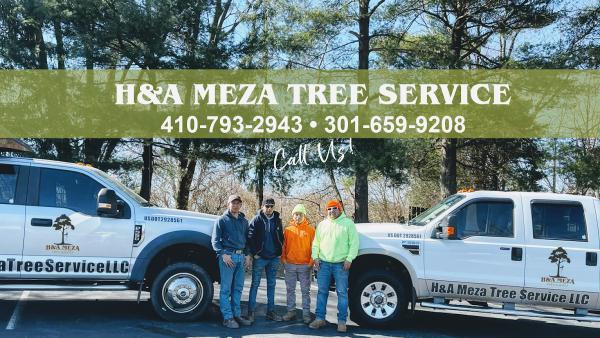 H&A Meza Tree Service