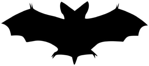 Bat Specialists