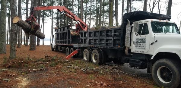 Briscoe Tree Service