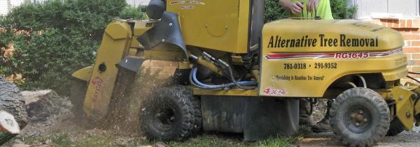 Alternative Tree Removal