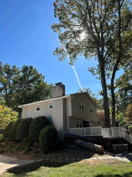 Alternative Tree Removal