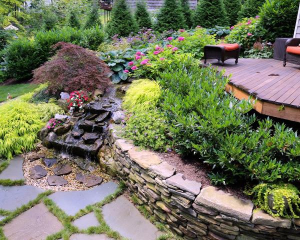 Louis Contino Landscaping