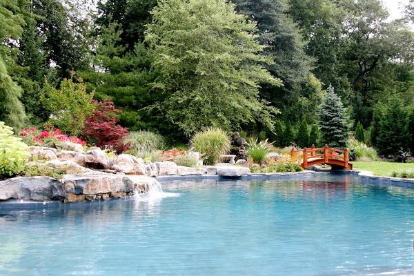 Louis Contino Landscaping